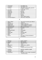 Összefoglalók, jegyzetek 'Logistik und Transport', 17.                