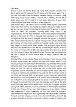 Esszék 'The New Version about Three Piglets', 1.                