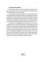 Kutatási anyagok 'Avon Vision', 7.                