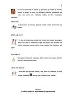 Kutatási anyagok 'Avon Vision', 9.                