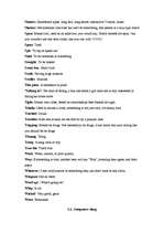 Kutatási anyagok 'Slang in English', 16.                