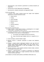 Összefoglalók, jegyzetek 'A nyelvtudomány tárgya és felosztása', 2.                