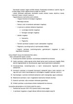 Összefoglalók, jegyzetek 'A nyelvtudomány tárgya és felosztása', 3.                