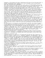 Esszék 'William Gibson and the Internet', 5.                