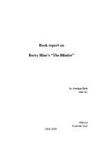 Összefoglalók, jegyzetek 'Book Report on Barry Hines "The Blinder"', 1.                