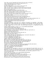 Esszék 'Project Management Strategy', 12.                