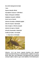 Prezentációk 'Vízi Állatok a Mecsekben', 2.                