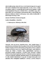 Prezentációk 'Vízi Állatok a Mecsekben', 6.                