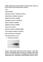 Prezentációk 'Vízi Állatok a Mecsekben', 7.                