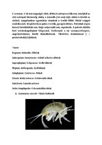 Prezentációk 'Vízi Állatok a Mecsekben', 8.                