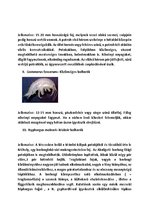 Prezentációk 'Vízi Állatok a Mecsekben', 9.                