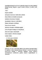 Prezentációk 'Vízi Állatok a Mecsekben', 10.                