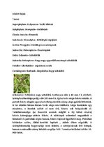 Prezentációk 'Vízi Állatok a Mecsekben', 17.                