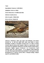 Prezentációk 'Vízi Állatok a Mecsekben', 18.                