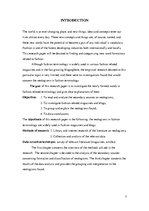 Kutatási anyagok 'Neologisms in Fashion Terminology', 5.                