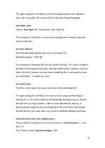 Kutatási anyagok 'Neologisms in Fashion Terminology', 19.                