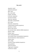 Kutatási anyagok 'Firearms, Makarov PM', 15.                