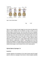 Kutatási anyagok 'Project - Sustainable Energy', 10.                