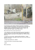 Esszék 'Hóban, sárban – és áztatott kenyéren… Láncos zeusz kiszabadítása az alkoholisták', 5.                