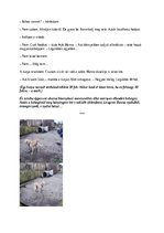 Esszék 'Hóban, sárban – és áztatott kenyéren… Láncos zeusz kiszabadítása az alkoholisták', 6.                