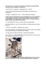 Esszék 'Hóban, sárban – és áztatott kenyéren… Láncos zeusz kiszabadítása az alkoholisták', 15.                