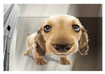 Összefoglalók, jegyzetek 'Presentation of Garment Industry “NILO“', 3.                