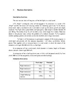 Üzleti tervek 'Marketing Plan LTD "Flight"', 2.                