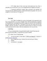 Üzleti tervek 'Marketing Plan LTD "Flight"', 5.                