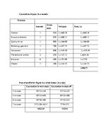 Üzleti tervek 'Marketing Plan LTD "Flight"', 7.                