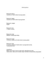 Kutatási anyagok 'The Importance of Mobile Phone to Young People', 3.                
