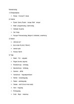 Összefoglalók, jegyzetek 'Országok jellemzői', 1.                