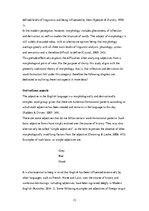 Kutatási anyagok 'Grmmatical Aspects of Automobile Advertisements', 12.                