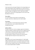 Kutatási anyagok 'Grmmatical Aspects of Automobile Advertisements', 15.                