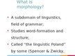Kutatási anyagok 'Grmmatical Aspects of Automobile Advertisements', 57.                