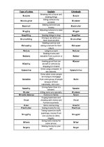 Összefoglalók, jegyzetek 'Types of Crime', 1.                