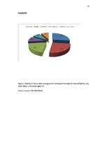 Kutatási anyagok 'Nike - Global Expansion', 28.                