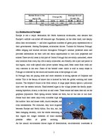 Összefoglalók, jegyzetek 'Tourism in Portugal', 7.                