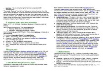 Összefoglalók, jegyzetek 'Notes for Exam in Medieval Literature', 2.                