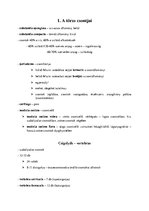 Összefoglalók, jegyzetek 'A törzs csontjai anatómia tételsor', 1.                