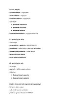 Összefoglalók, jegyzetek 'A törzs csontjai anatómia tételsor', 3.                