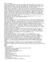 Esszék 'Marketing Plan', 1.                