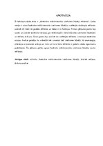 Záródolgozatok 'Phonetic Stylistic Devices in Advertisements', 3.                