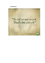 Záródolgozatok 'Phonetic Stylistic Devices in Advertisements', 60.                