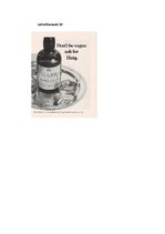 Záródolgozatok 'Phonetic Stylistic Devices in Advertisements', 74.                