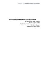 Esszék 'Recommendations for Blue Ocean Innovations', 1.                