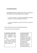 Összefoglalók, jegyzetek 'Edzéselmélet', 4.                