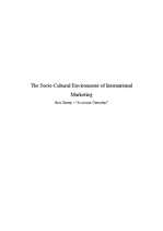 Összefoglalók, jegyzetek 'The Socio-Cultural Environment of International Marketing', 1.                