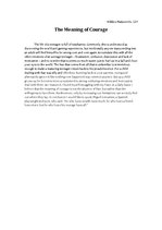 Esszék 'The Meaning of Courage', 1.                