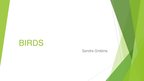 Prezentációk 'Birds', 1.                