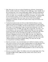 Prezentációk 'Birds', 16.                